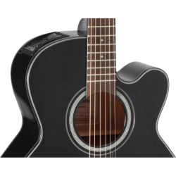 GN30CENAT TAKAMINE noire brillante