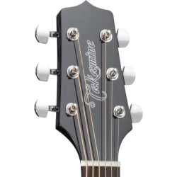 GN30CENAT TAKAMINE noire brillante