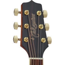 GD51NAT TAKAMINE naturel brillante