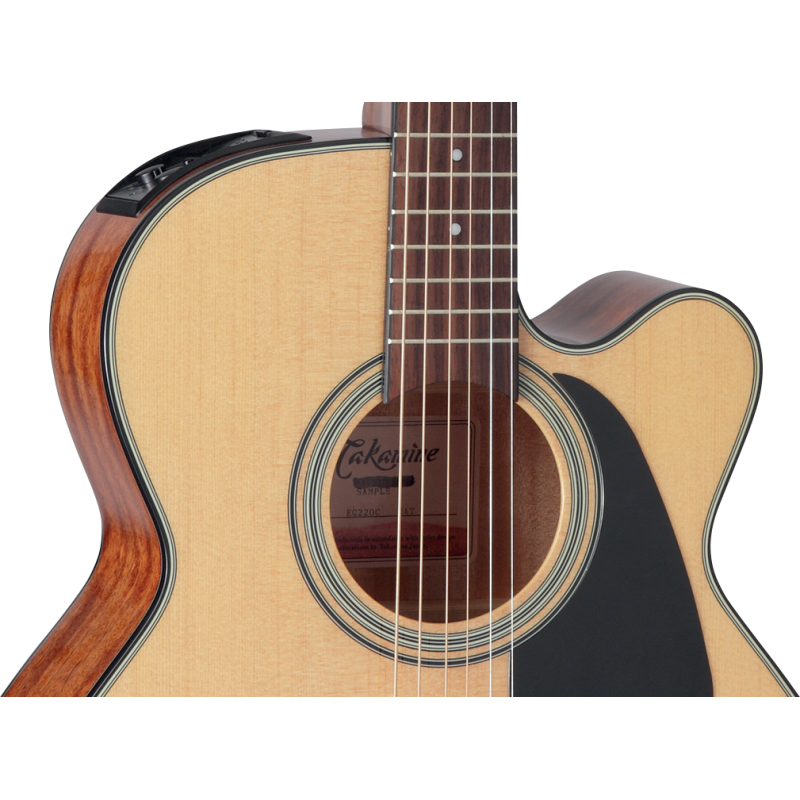 GN51CENAT TAKAMINE naturel brillante