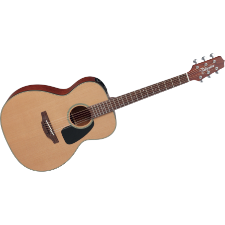 P1M TAKAMINE ORCHESTRA