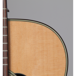 P1M TAKAMINE ORCHESTRA