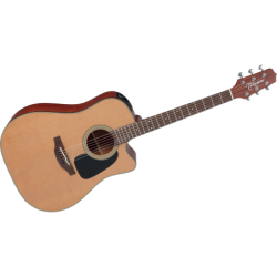 P1DC TAKAMINE 