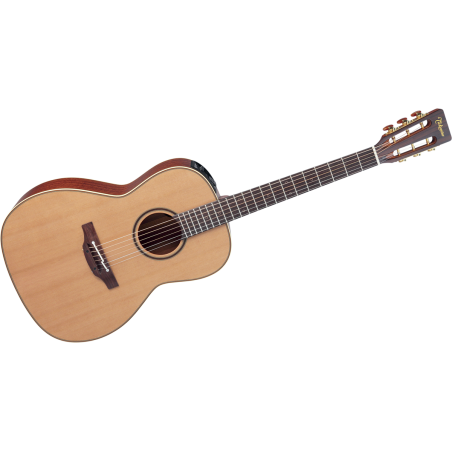 P3NY TAKAMINE FOLK NATUREL