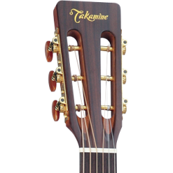 P3NY TAKAMINE FOLK NATUREL