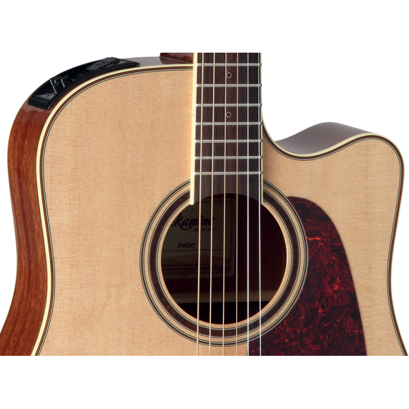 P4DC TAKAMINE FOLK NATUREL brillante