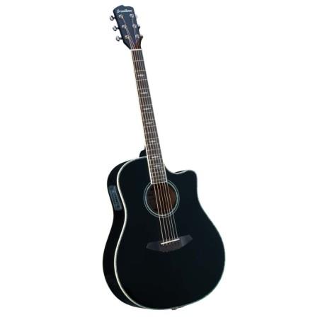 STAGE DREADNOUGHT BK MG NOIR BREEDLOVE SLJMUSIC.COM