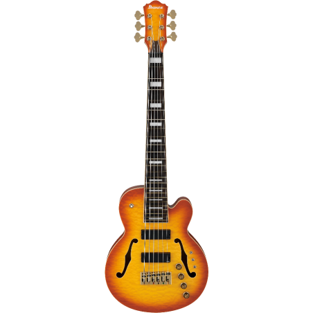 TCB1006ALM Autumn Leaf Burst Matte Thundercat Ibanez