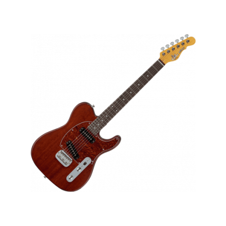 TRIBUTE ASAT SPECIAL IRISH ALE G&L
