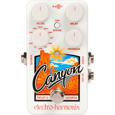 ELECTRO-HARMONIX NANO CANYON