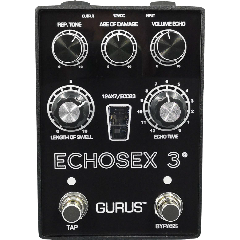 GURUS ECHOSEX 3Á SMALL ENCLOSURE