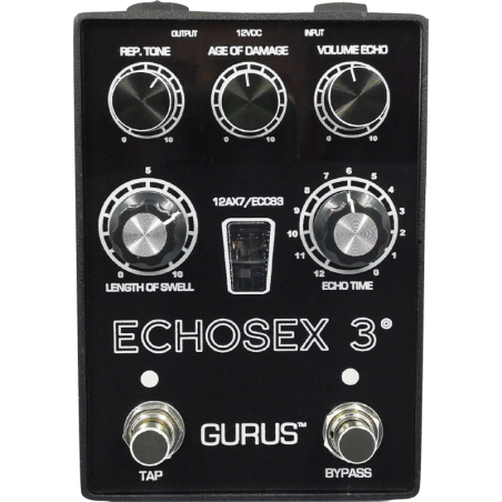 GURUS ECHOSEX 3Á SMALL ENCLOSURE