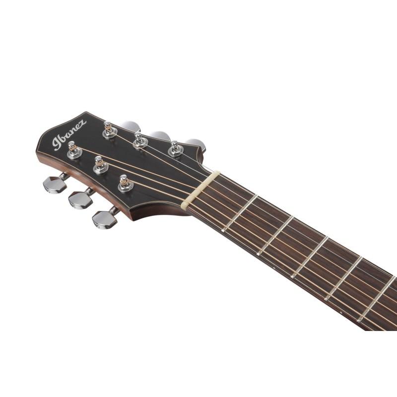 PA300ENSL FINGERSTYLE COLLECTION IBANEZ
