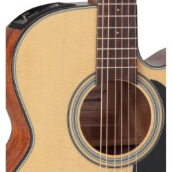 GN10CENS TAKAMINE Cutaway Electro