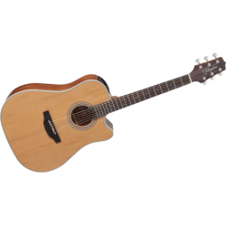 GD20CENS TAKAMINE Dreadnought Cutaway