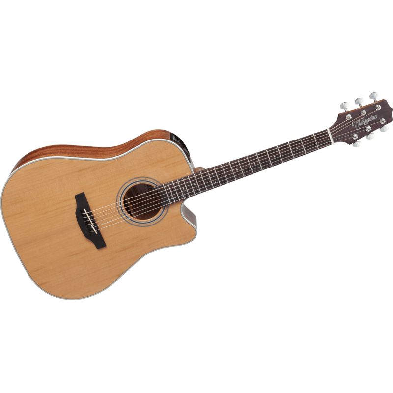 GD20CENS TAKAMINE Dreadnought Cutaway