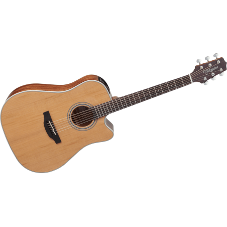 GD20CENS TAKAMINE Dreadnought Cutaway
