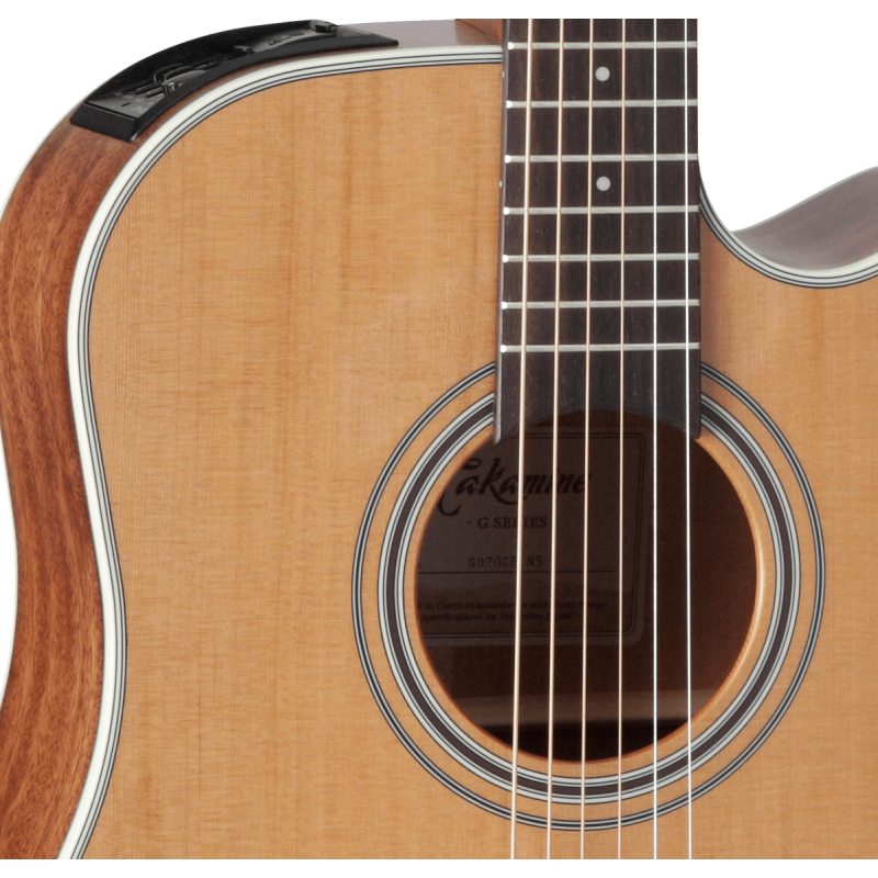 GD20CENS TAKAMINE Dreadnought Cutaway