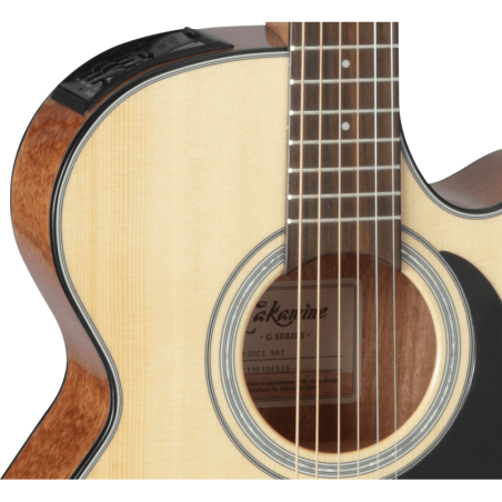 GF30CENAT TAKAMINE Grand Concert