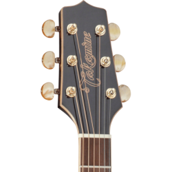 GD71BSB TAKAMINE Dreadnought Brown