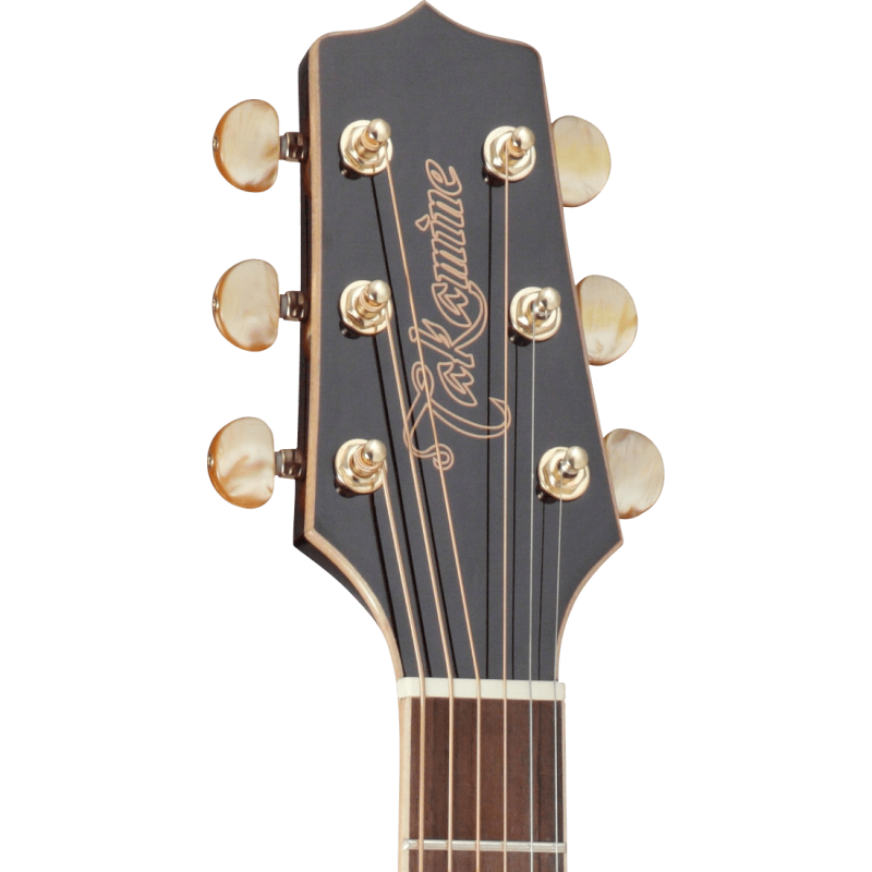 GD71BSB TAKAMINE Dreadnought Brown