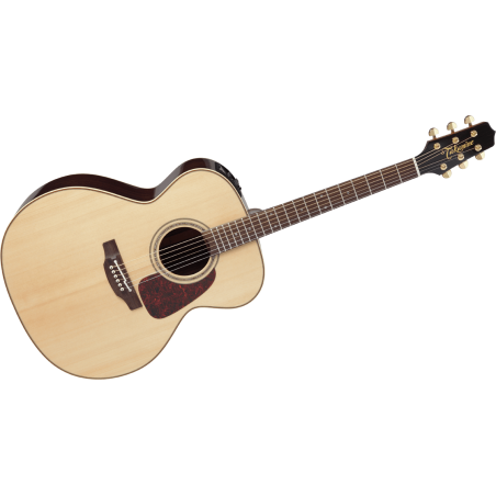 GTV P5J TAKAMINE  Jumbo Electro