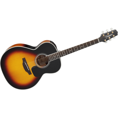 P6NBSB TAKAMINE Auditorium Electro