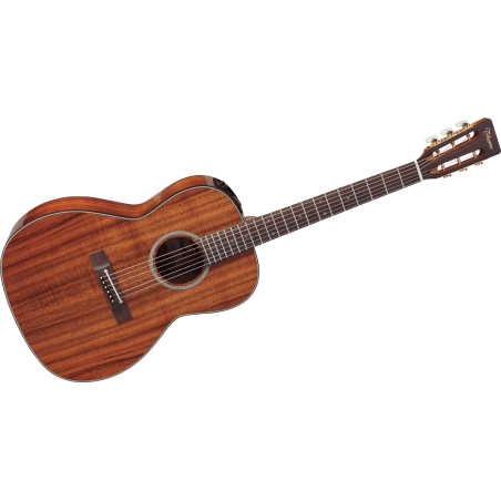 GTV P7DC TAKAMINE New Yorker 