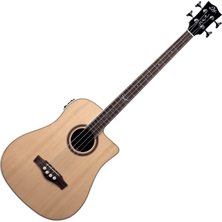 NXT-B100CWE-NAT EKO SLJMUSIC.COM