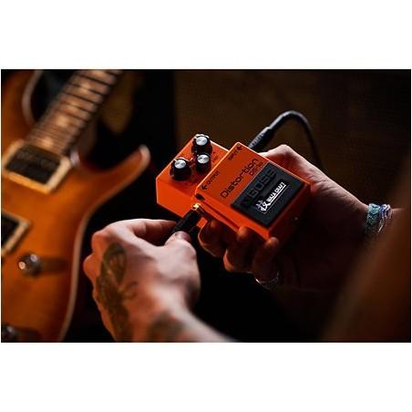 DS-1W BOSS
