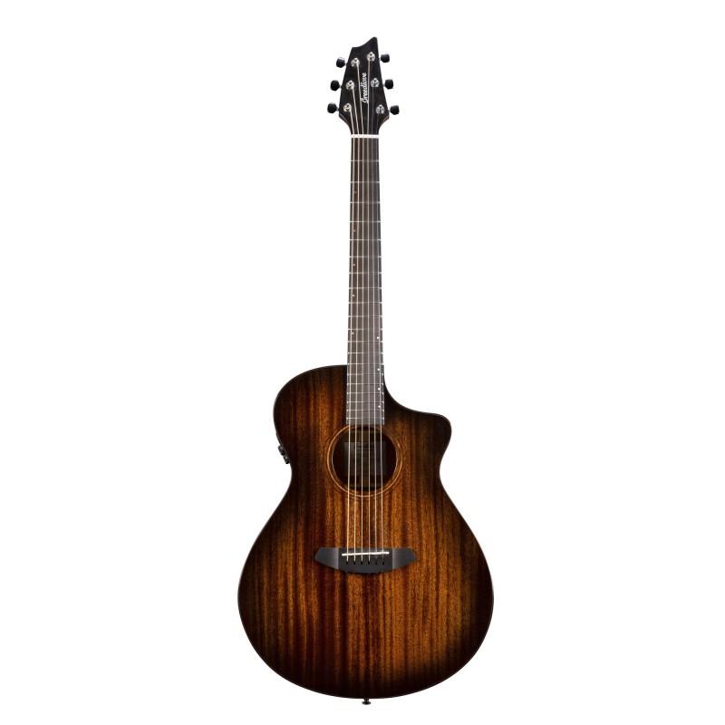 WILDWOOD PRO CONCERT CE BREEDLOVE SLJMUSIC.COM