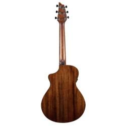 WILDWOOD PRO COMPANION CE BREEDLOVE SLJMUSIC.COM