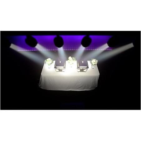 PINSPOT BAR CHAUVET SPOT BLANC POUR BAR SLJMUSIC