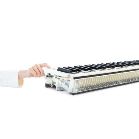 CN-201B KAWAI SLJMUSIC.COM