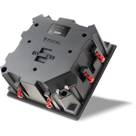 100-ICLCR5 FOCAL