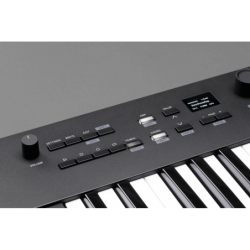 KEYSTAGE-49 KORG