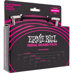 6224 ERNIE BALL