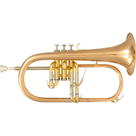 CORNET BU600 SML PARIS
