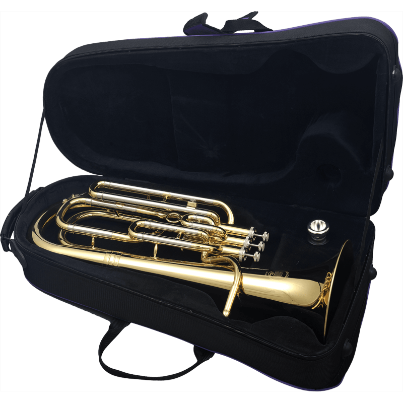 SAXHORN BA16 SML PARIS