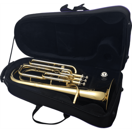 SAXHORN BA16 SML PARIS