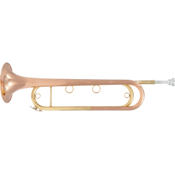 TROMPETTE DE CAVALERIE FTPC91-R SML PARIS