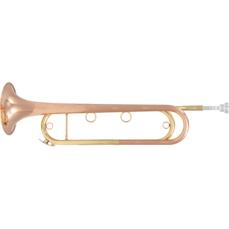 TROMPETTE DE CAVALERIE FTPC91-R SML PARIS