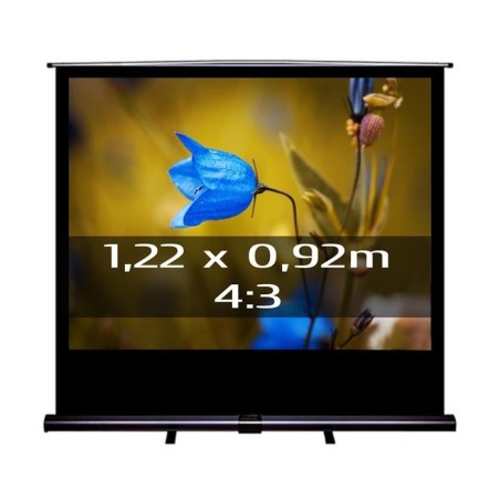 Ecran de projection transportable Pull Up 1