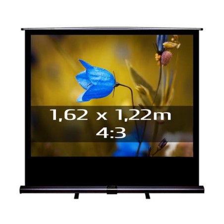 Ecran de projection transportable Pull Up 1