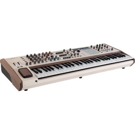 POLYBRUTE12 ARTURIA