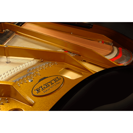 P170-BLK PLEYEL