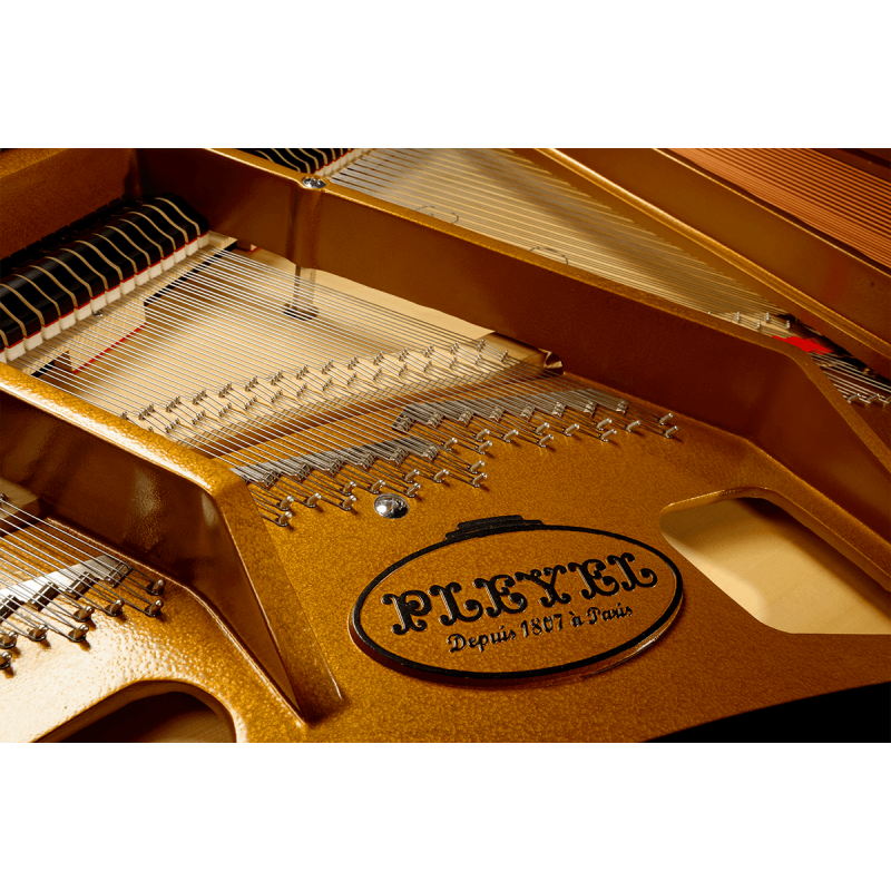 P170-BLK PLEYEL