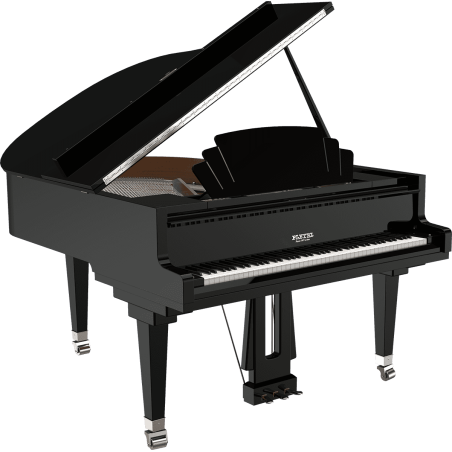 P170T-BLK PLEYEL