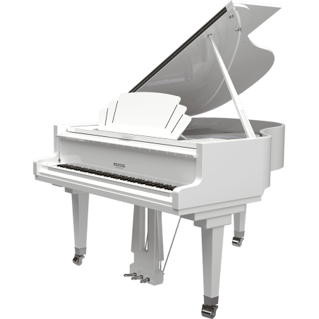 P170T-WHT PLEYEL