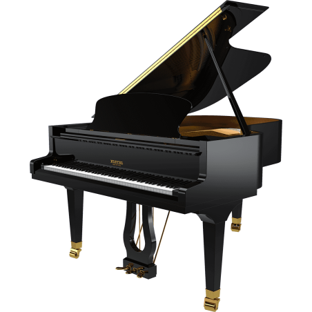 P190-BLK PLEYEL